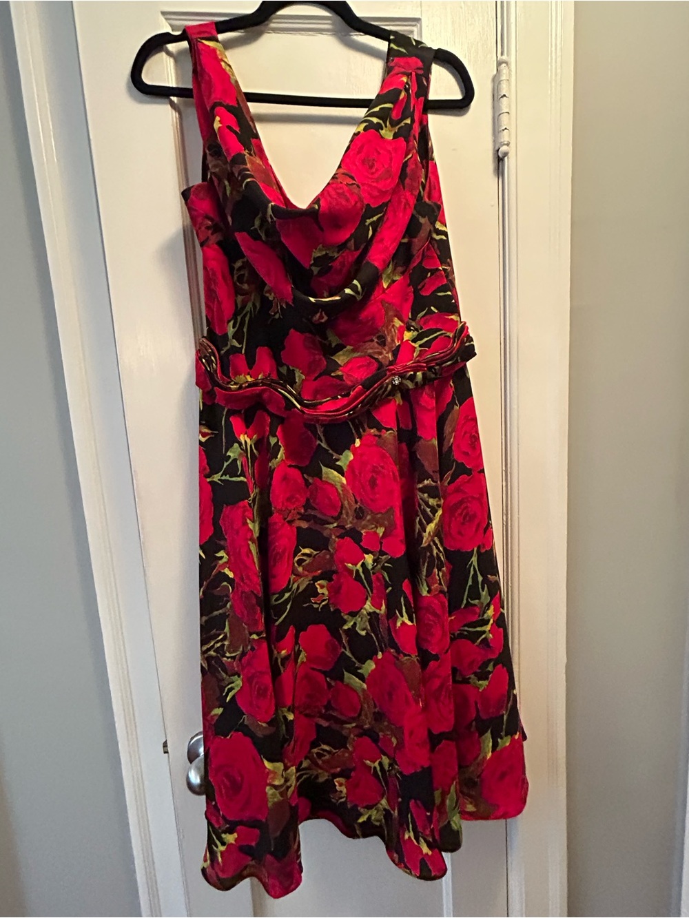 Red Rose Print Sleeveless Dress - Brand Unspecified